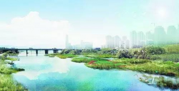 骄傲！杏林湾湿地公园再添“新名片”，厦门市唯一上榜，再过不久要惊艳登场！