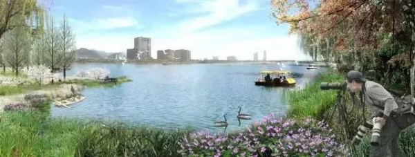 骄傲！杏林湾湿地公园再添“新名片”，厦门市唯一上榜，再过不久要惊艳登场！