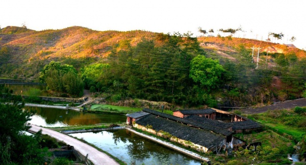 号外！林俊杰投资15亿建设世外桃源，打造厦门最美后花园