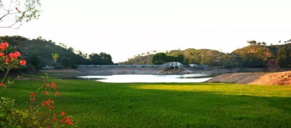 号外！林俊杰投资15亿建设世外桃源，打造厦门最美后花园