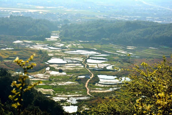 号外！林俊杰投资15亿建设世外桃源，打造厦门最美后花园