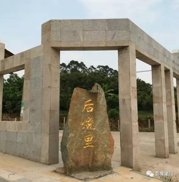 美爆了！厦门那片黄花风铃木又来了……花期短，赶紧约！