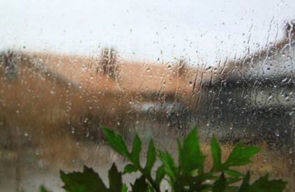 今年首个台风生成？厦门天气将会是…...