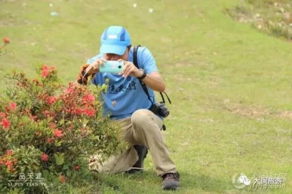 去玩|厦门云顶山火了！原因竟是因为映山红又双叒叕红了...