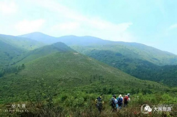 去玩|厦门云顶山火了！原因竟是因为映山红又双叒叕红了...