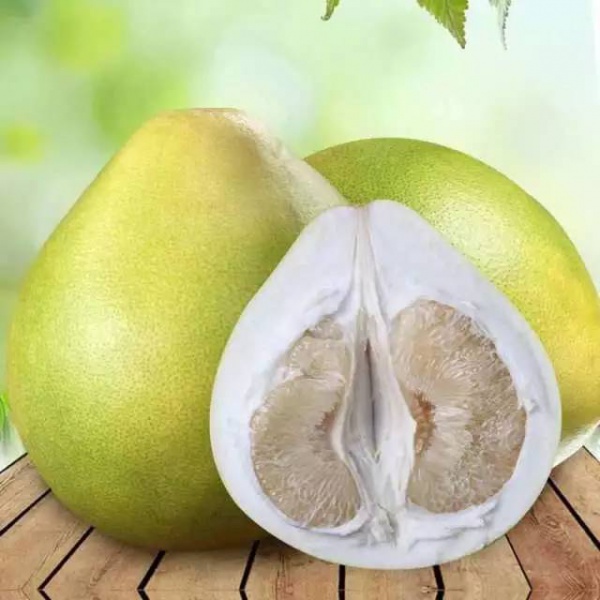 看绿色不能缓解眼疲劳！19个重要的健康小秘密，不能只有医生知道