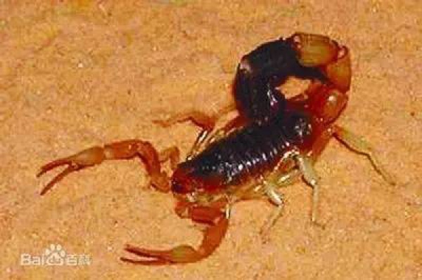 警报！厦门女大学生睡梦中脸痒挠了下，醒来进医院！这危险高发，已有人毁容