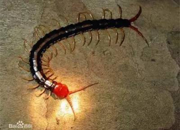 警报！厦门女大学生睡梦中脸痒挠了下，醒来进医院！这危险高发，已有人毁容