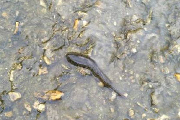 警报！厦门女大学生睡梦中脸痒挠了下，醒来进医院！这危险高发，已有人毁容