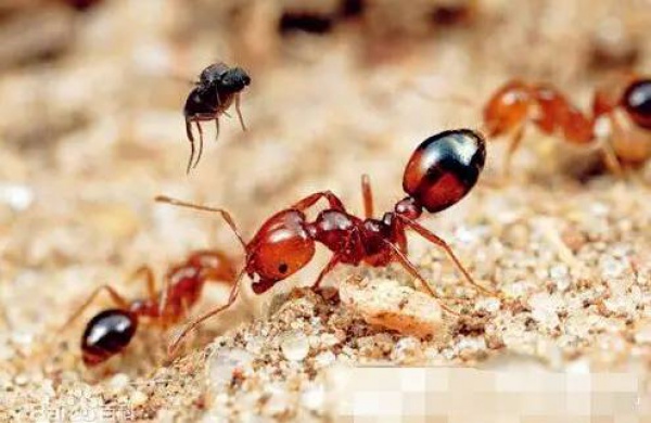 警报！厦门女大学生睡梦中脸痒挠了下，醒来进医院！这危险高发，已有人毁容