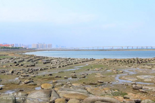 集美鳌园丨一座露天博物大观，一部石雕百科全书