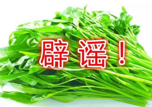 空心菜最毒？鲶鱼最脏？西红柿与虾蟹会产生砒霜？答案来了
