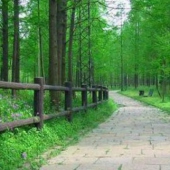平潭岛国家森林公园