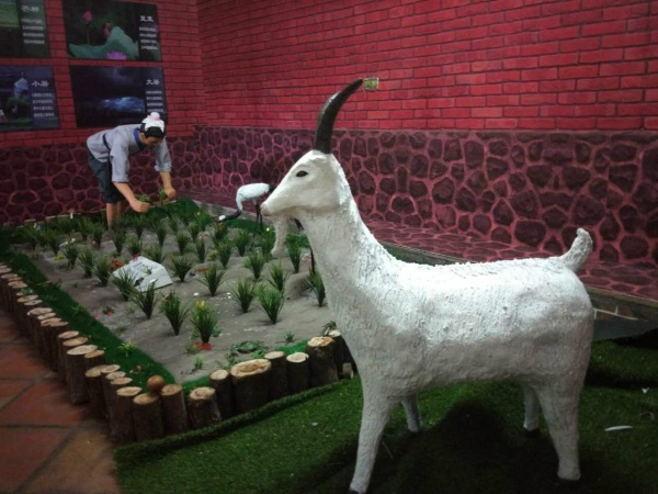 吸引十多万人参观！灌口这些“老古董”红遍厦漳泉