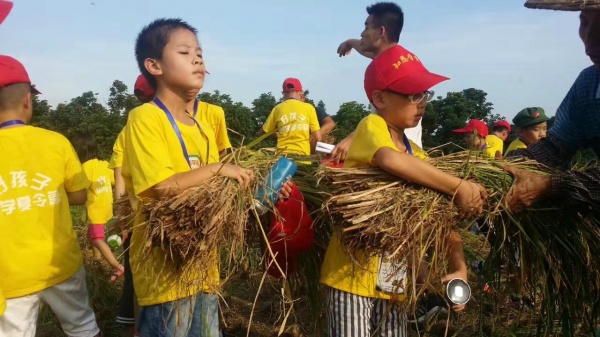 吸引十多万人参观！灌口这些“老古董”红遍厦漳泉