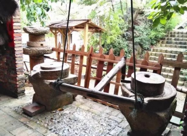 吸引十多万人参观！灌口这些“老古董”红遍厦漳泉