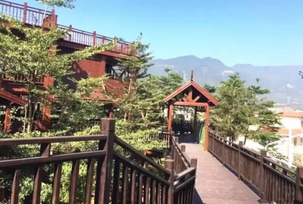 吸引十多万人参观！灌口这些“老古董”红遍厦漳泉