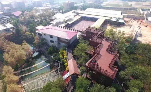 吸引十多万人参观！灌口这些“老古董”红遍厦漳泉