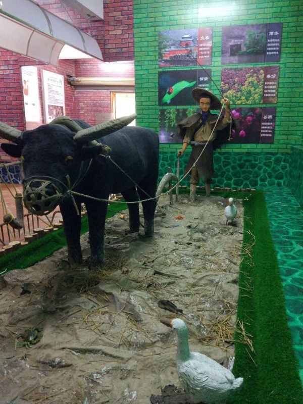 吸引十多万人参观！灌口这些“老古董”红遍厦漳泉