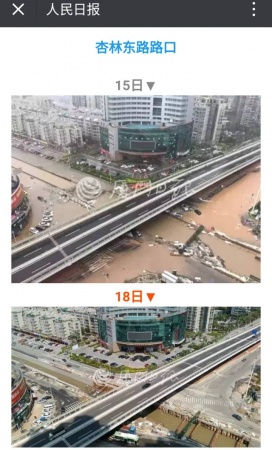 凤凰涅槃！回首莫兰蒂，那些感动集美的画面，最难忘！