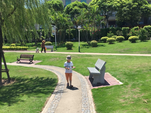 凤凰涅槃！回首莫兰蒂，那些感动集美的画面，最难忘！