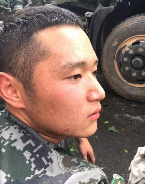 凤凰涅槃！回首莫兰蒂，那些感动集美的画面，最难忘！