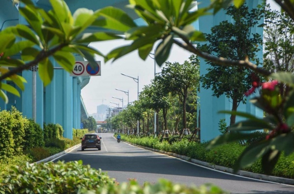 凤凰涅槃！回首莫兰蒂，那些感动集美的画面，最难忘！