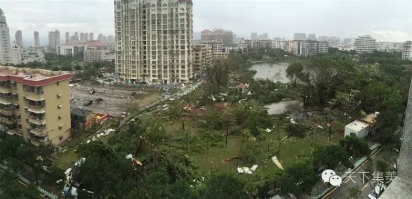 凤凰涅槃！回首莫兰蒂，那些感动集美的画面，最难忘！