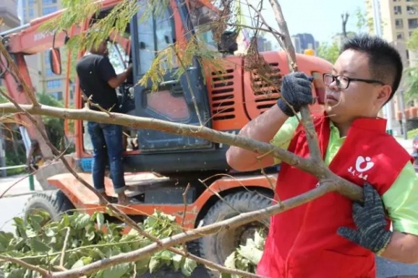 凤凰涅槃！回首莫兰蒂，那些感动集美的画面，最难忘！