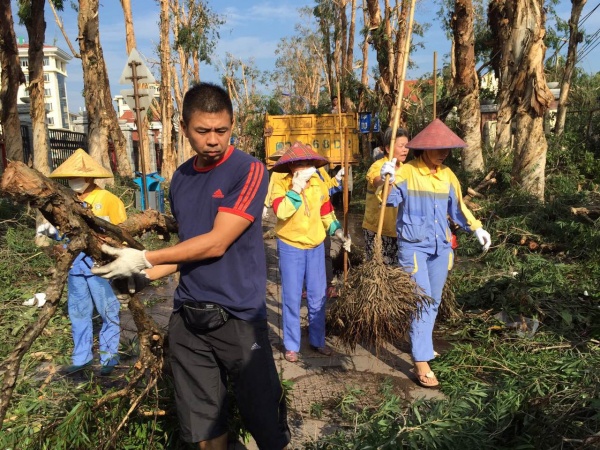 凤凰涅槃！回首莫兰蒂，那些感动集美的画面，最难忘！