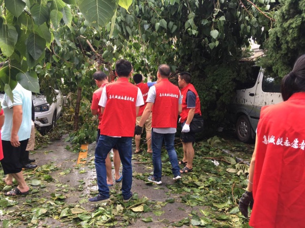 凤凰涅槃！回首莫兰蒂，那些感动集美的画面，最难忘！