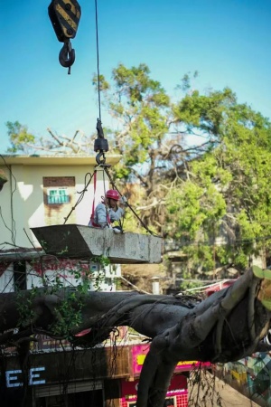 凤凰涅槃！回首莫兰蒂，那些感动集美的画面，最难忘！