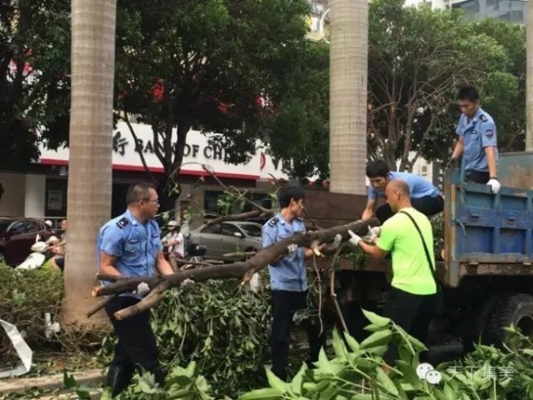 凤凰涅槃！回首莫兰蒂，那些感动集美的画面，最难忘！