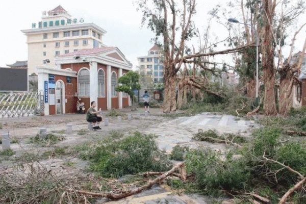 凤凰涅槃！回首莫兰蒂，那些感动集美的画面，最难忘！