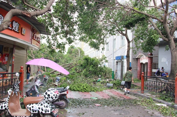 凤凰涅槃！回首莫兰蒂，那些感动集美的画面，最难忘！