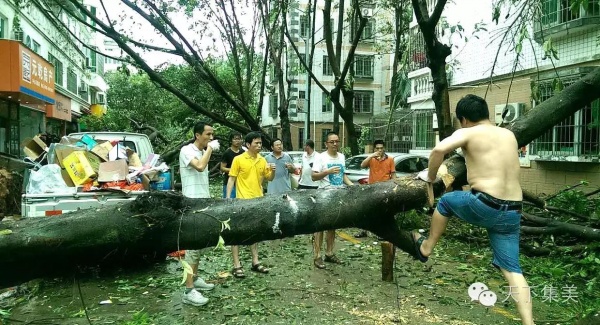 凤凰涅槃！回首莫兰蒂，那些感动集美的画面，最难忘！