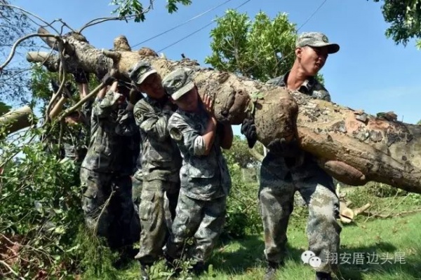 凤凰涅槃！莫兰蒂一周年，这些感动全翔安的画面你还记得吗？
