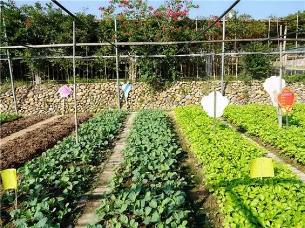 集美周边游看红砖文化，去厦门这座古村落你就知道了！！！