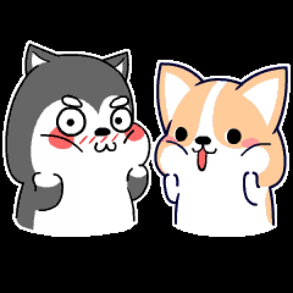 拭目以待！“后金砖”时期，你会看见一个这样的集美~