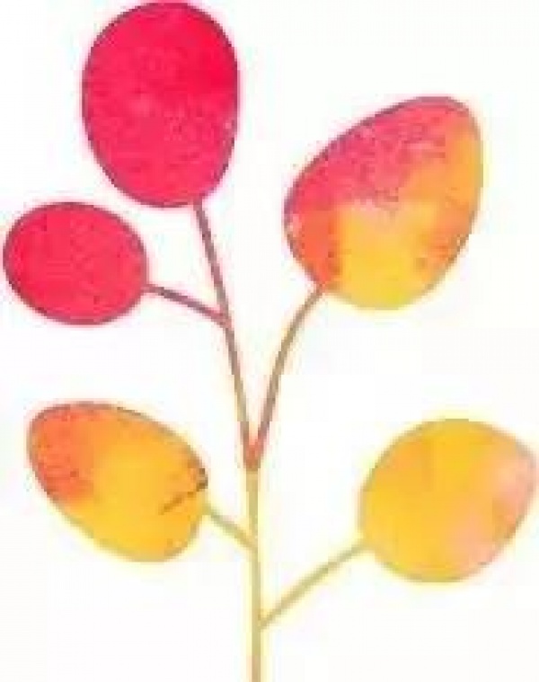 紧急通知！今天起厦门有大变动！最后一个看哭了……