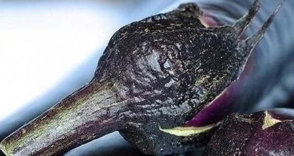 茄子这样吃,胜过10副药,可你还老把这些好东西扔掉! 茄子这样吃,胜过10副药,可你还老把这些好东西扔掉!