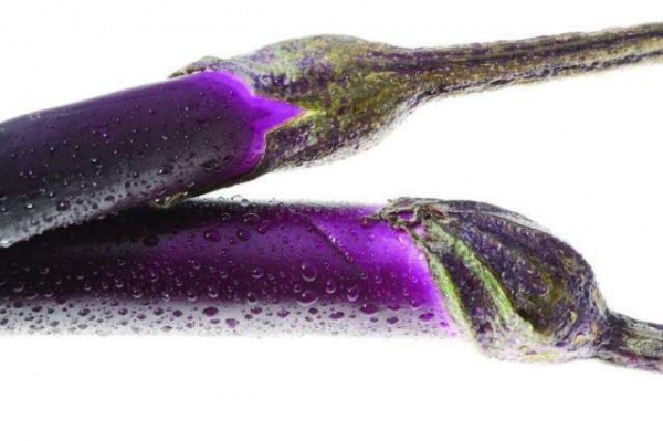 茄子这样吃,胜过10副药,可你还老把这些好东西扔掉! 茄子这样吃,胜过10副药,可你还老把这些好东西扔掉!