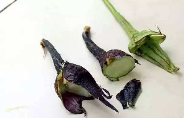 茄子这样吃,胜过10副药,可你还老把这些好东西扔掉! 茄子这样吃,胜过10副药,可你还老把这些好东西扔掉!