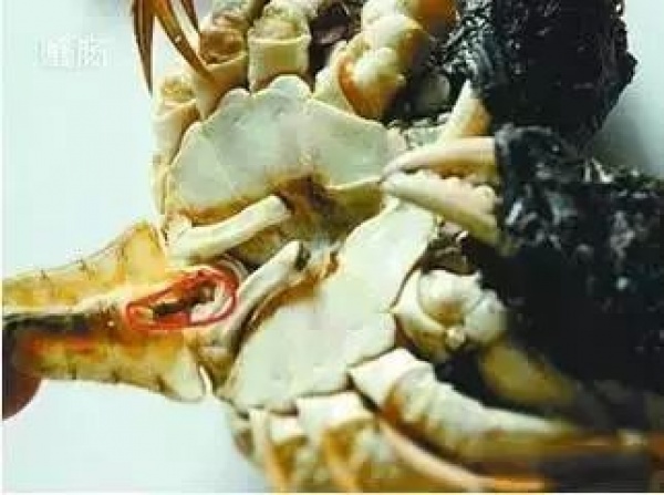 螃蟹这4个部位你吃了吗？吃下去可能惹来大麻烦！