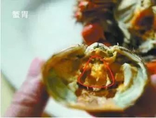 螃蟹这4个部位你吃了吗？吃下去可能惹来大麻烦！