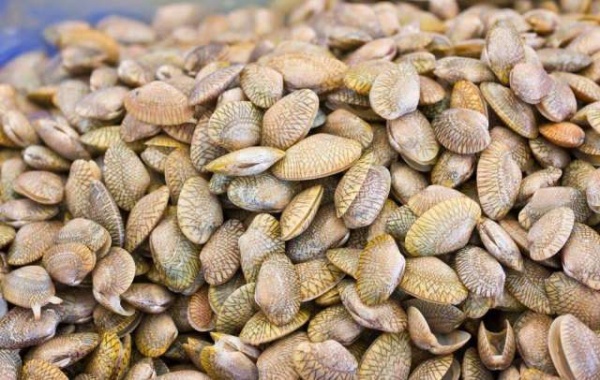 螃蟹这4个部位你吃了吗？吃下去可能惹来大麻烦！