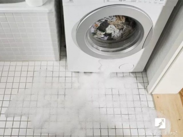 这个细节不注意，家里的洗衣机就成蟑螂的运动场