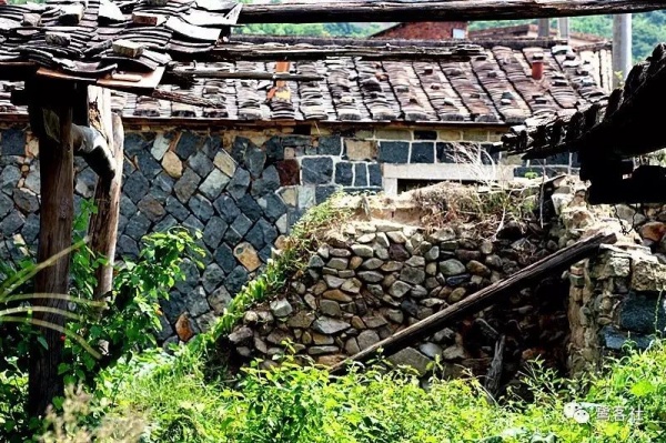 南安官桥曙光村（一）：向北，向北，直到那飘荡着地瓜香的土地