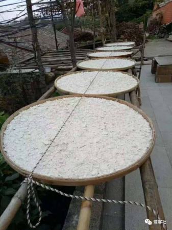 南安官桥曙光村（一）：向北，向北，直到那飘荡着地瓜香的土地