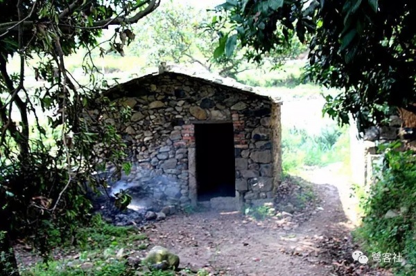 南安官桥曙光村（一）：向北，向北，直到那飘荡着地瓜香的土地